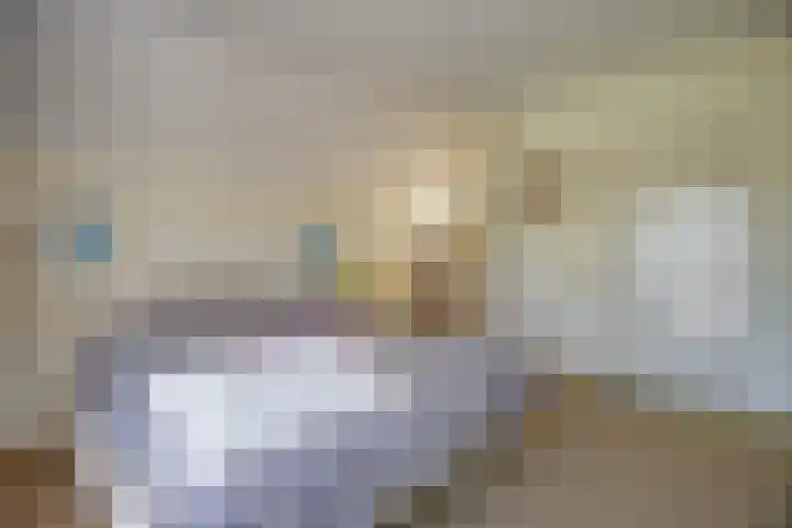 Nieuwenhoflaan 10 Moergestel thumbnail 20