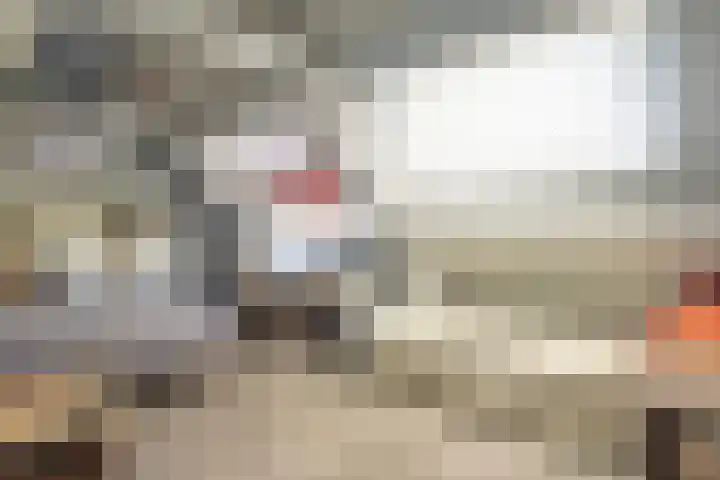 Nieuwenhoflaan 10 Moergestel thumbnail 24