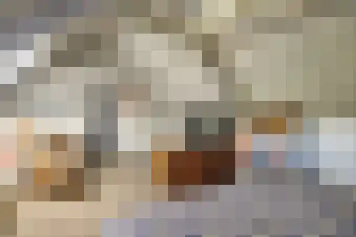 Nieuwenhoflaan 10 Moergestel thumbnail 25