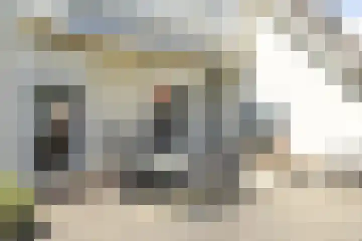 Nieuwenhoflaan 10 Moergestel thumbnail 29