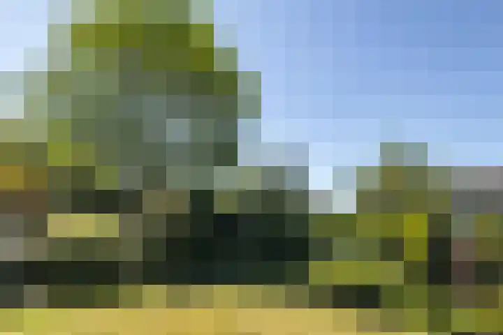 Nieuwenhoflaan 10 Moergestel thumbnail 32