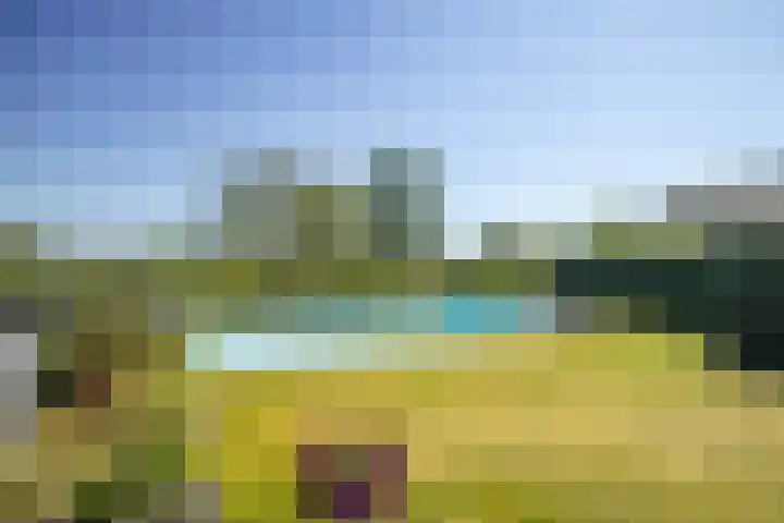 Nieuwenhoflaan 10 Moergestel thumbnail 35