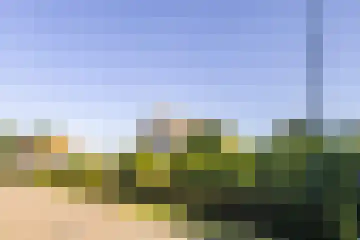 Nieuwenhoflaan 10 Moergestel thumbnail 38