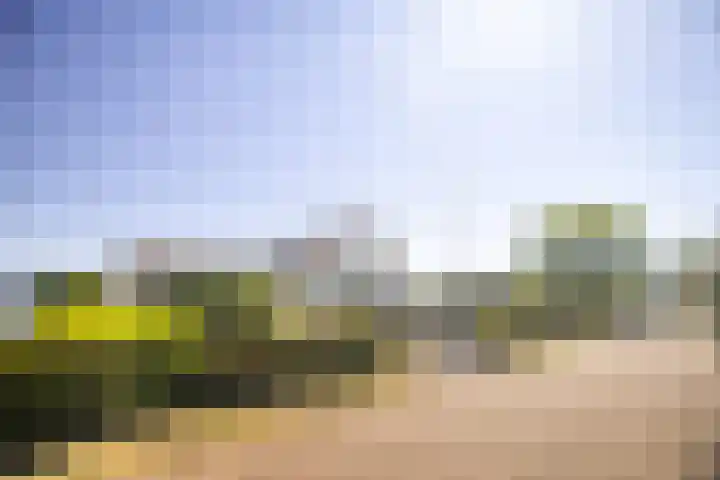 Nieuwenhoflaan 10 Moergestel thumbnail 39