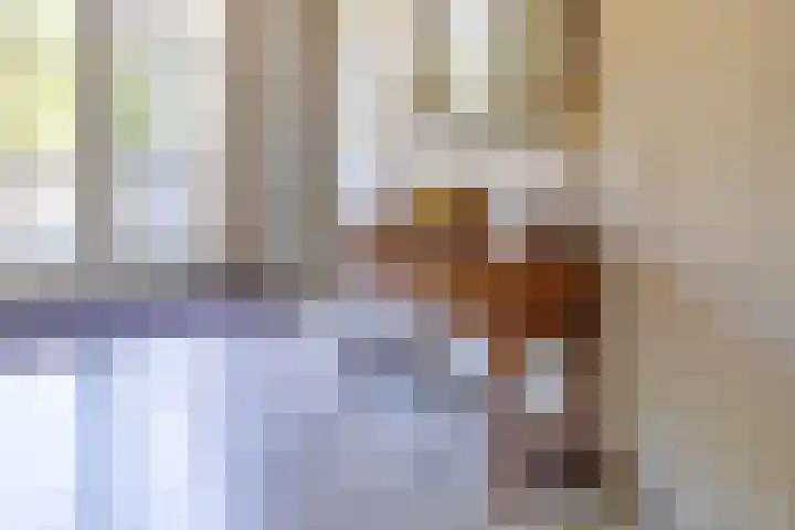 Nieuwenhoflaan 10 Moergestel thumbnail 4