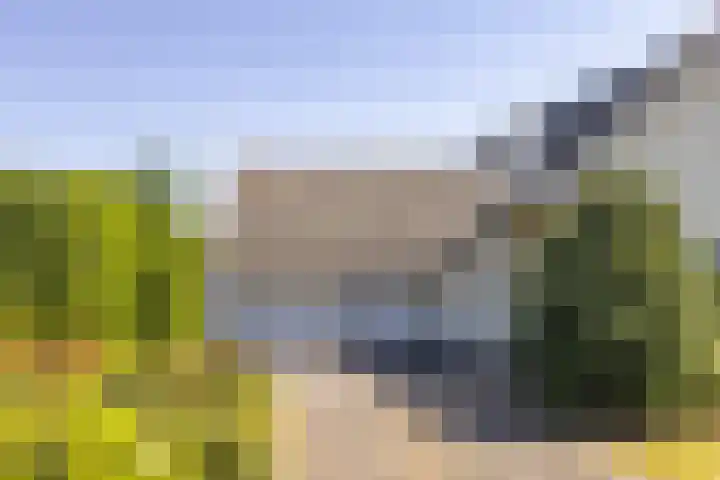 Nieuwenhoflaan 10 Moergestel thumbnail 40