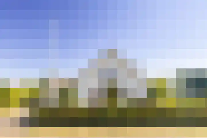 Nieuwenhoflaan 10 Moergestel thumbnail 52