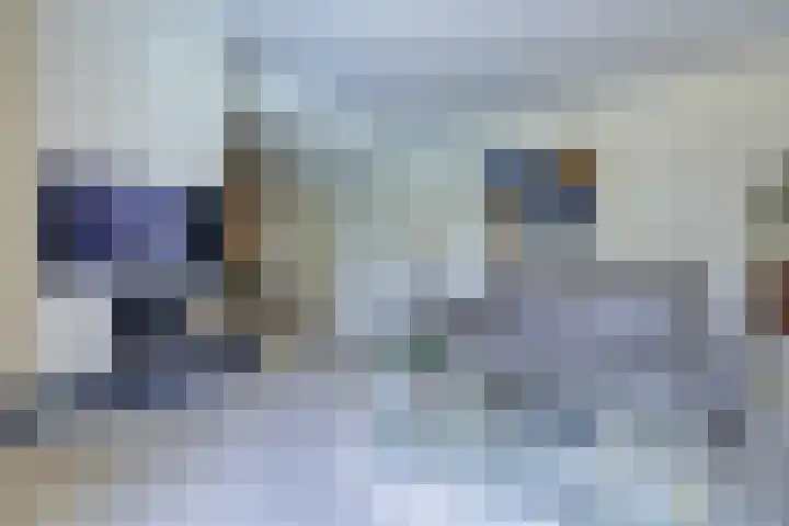 Nieuwenhoflaan 10 Moergestel thumbnail 9