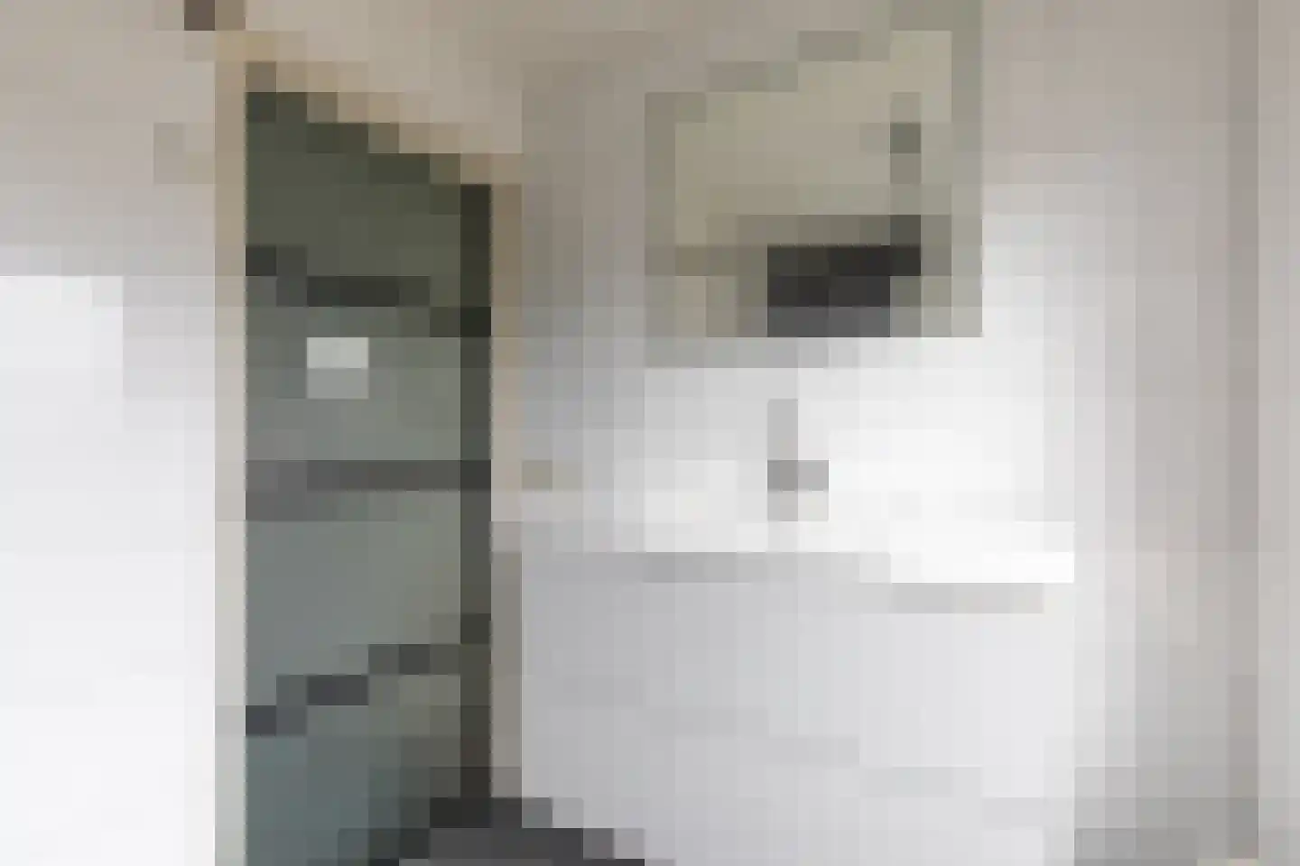 Nieuwenhofstraat 14 Beek thumbnail 21