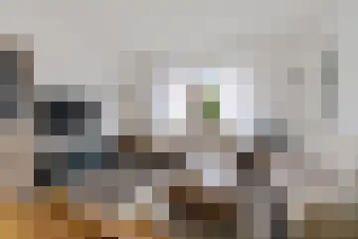 Nieuwenhofstraat 15 Hoensbroek thumbnail 6