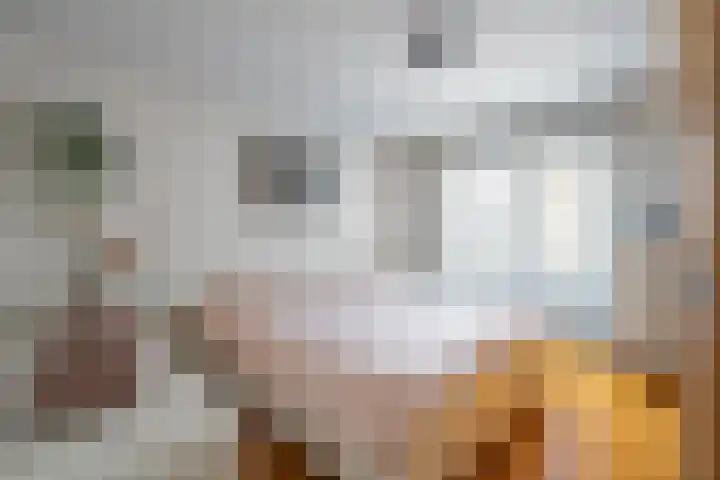 Nieuwenhofstraat 21 Beek thumbnail 13