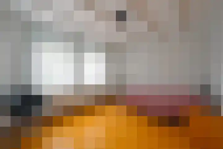Nieuwenhofstraat 21 Beek thumbnail 14