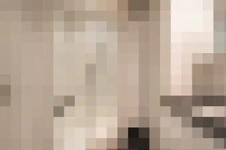 Nieuwenhofstraat 21 Beek thumbnail 19