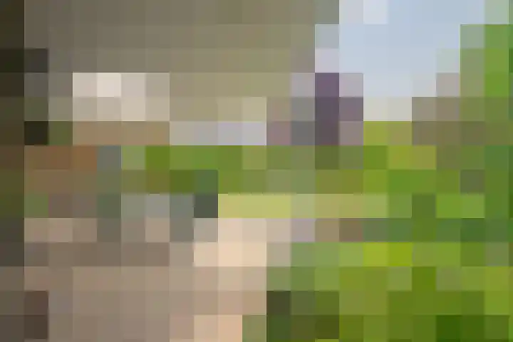 Nieuwenhofstraat 21 Beek thumbnail 27