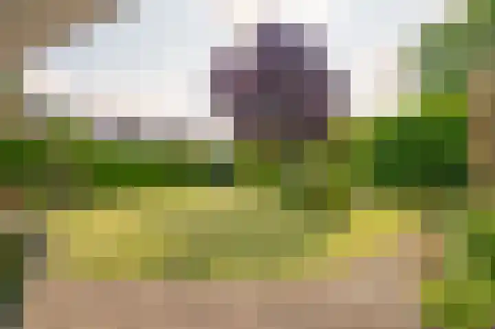Nieuwenhofstraat 21 Beek thumbnail 28