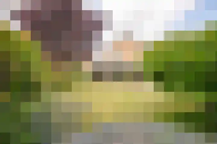 Nieuwenhofstraat 21 Beek thumbnail 29