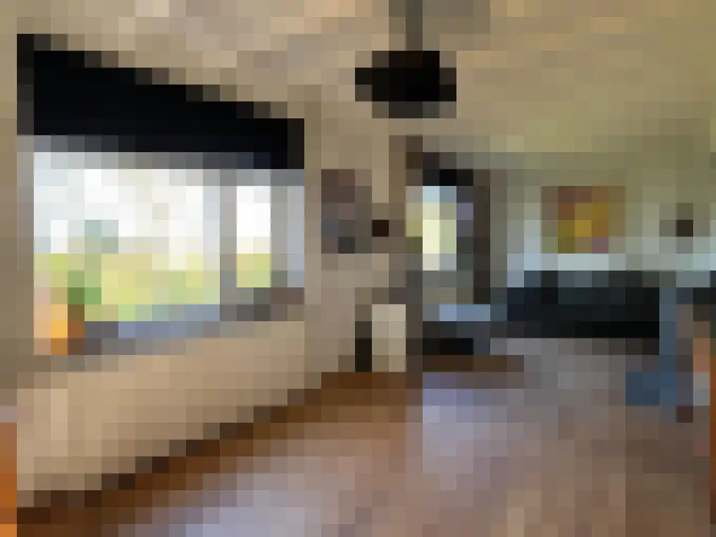 Nieuwenhofweg 12 Melderslo thumbnail 13