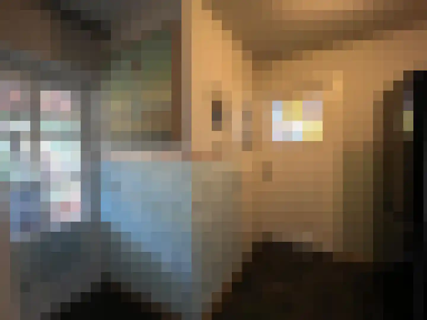 Nieuwenhofweg 12 Melderslo thumbnail 14