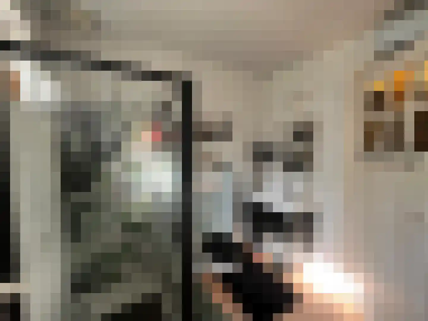 Nieuwenhofweg 12 Melderslo thumbnail 16