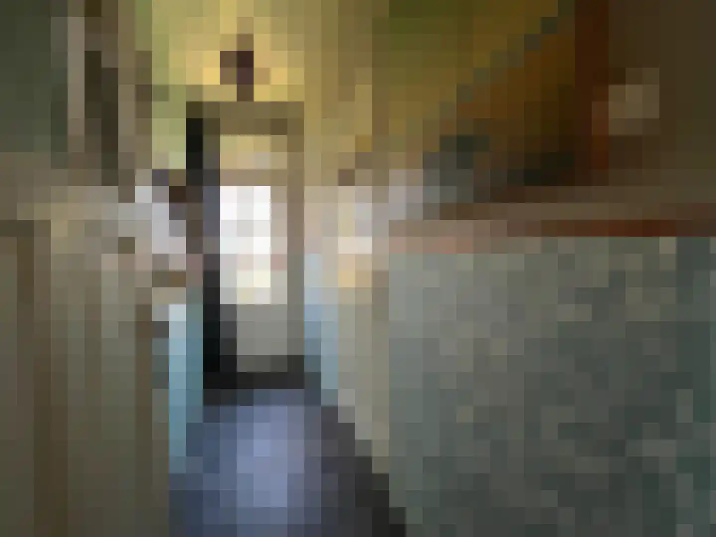 Nieuwenhofweg 12 Melderslo thumbnail 17