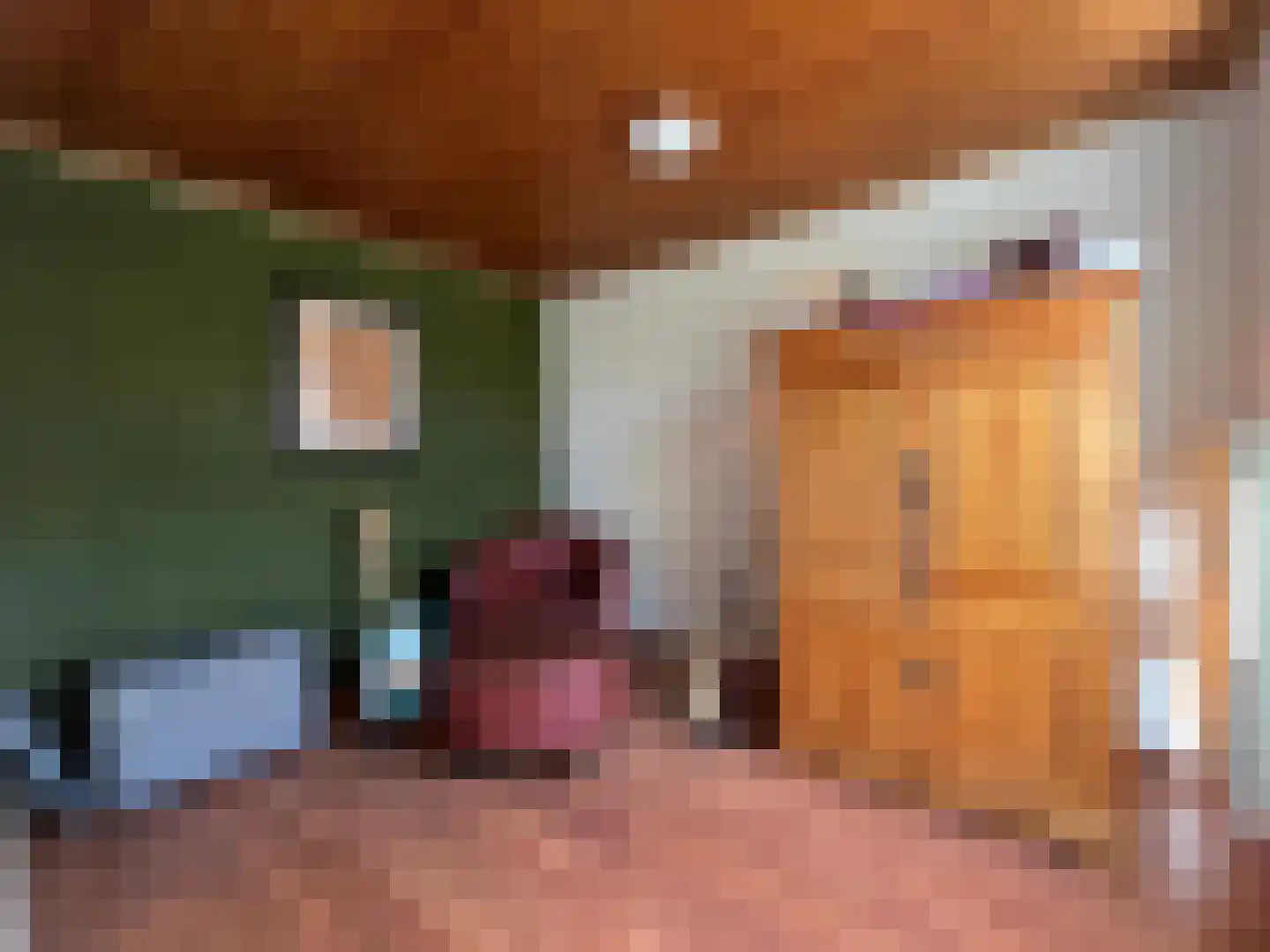 Nieuwenhofweg 12 Melderslo thumbnail 19