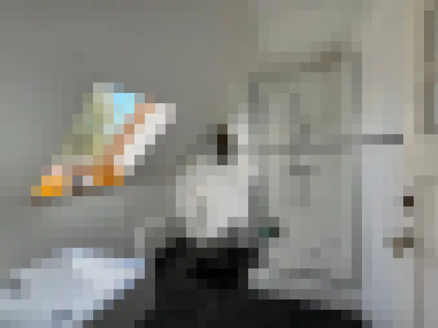 Nieuwenhofweg 12 Melderslo thumbnail 22