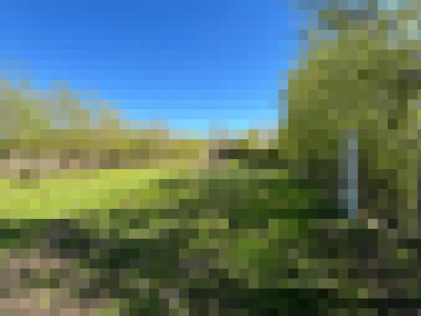 Nieuwenhofweg 12 Melderslo thumbnail 26