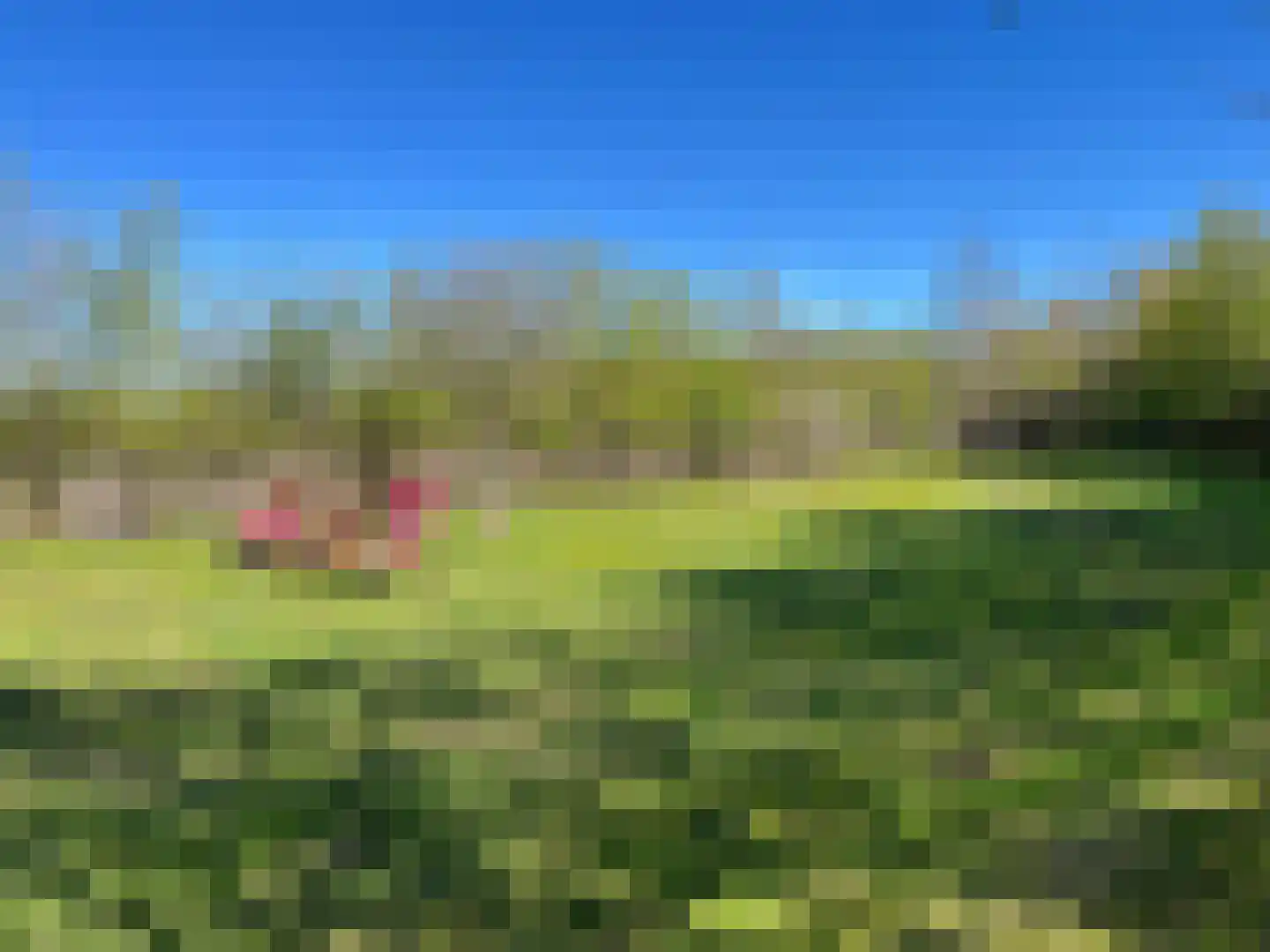 Nieuwenhofweg 12 Melderslo thumbnail 27