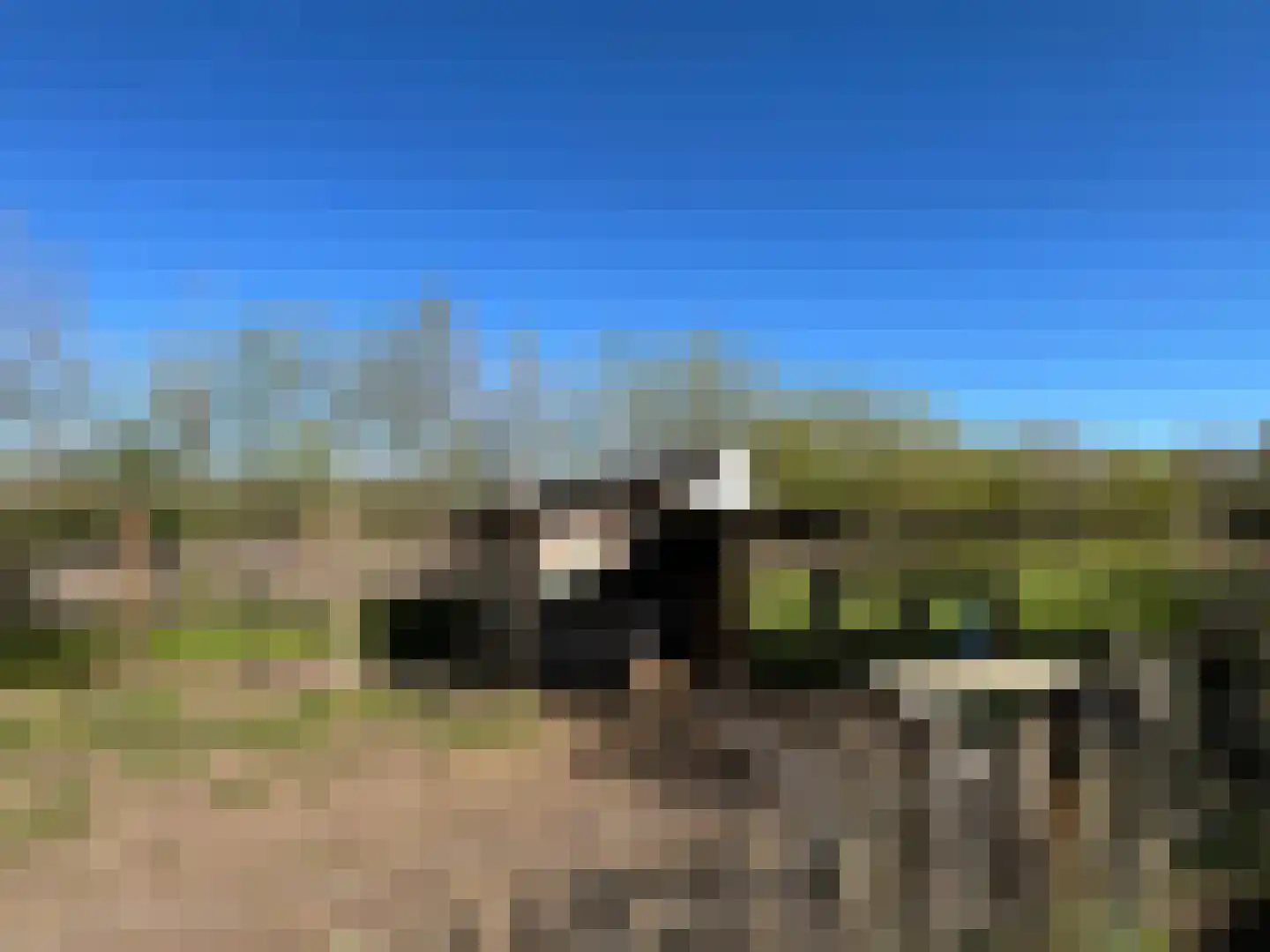 Nieuwenhofweg 12 Melderslo thumbnail 29