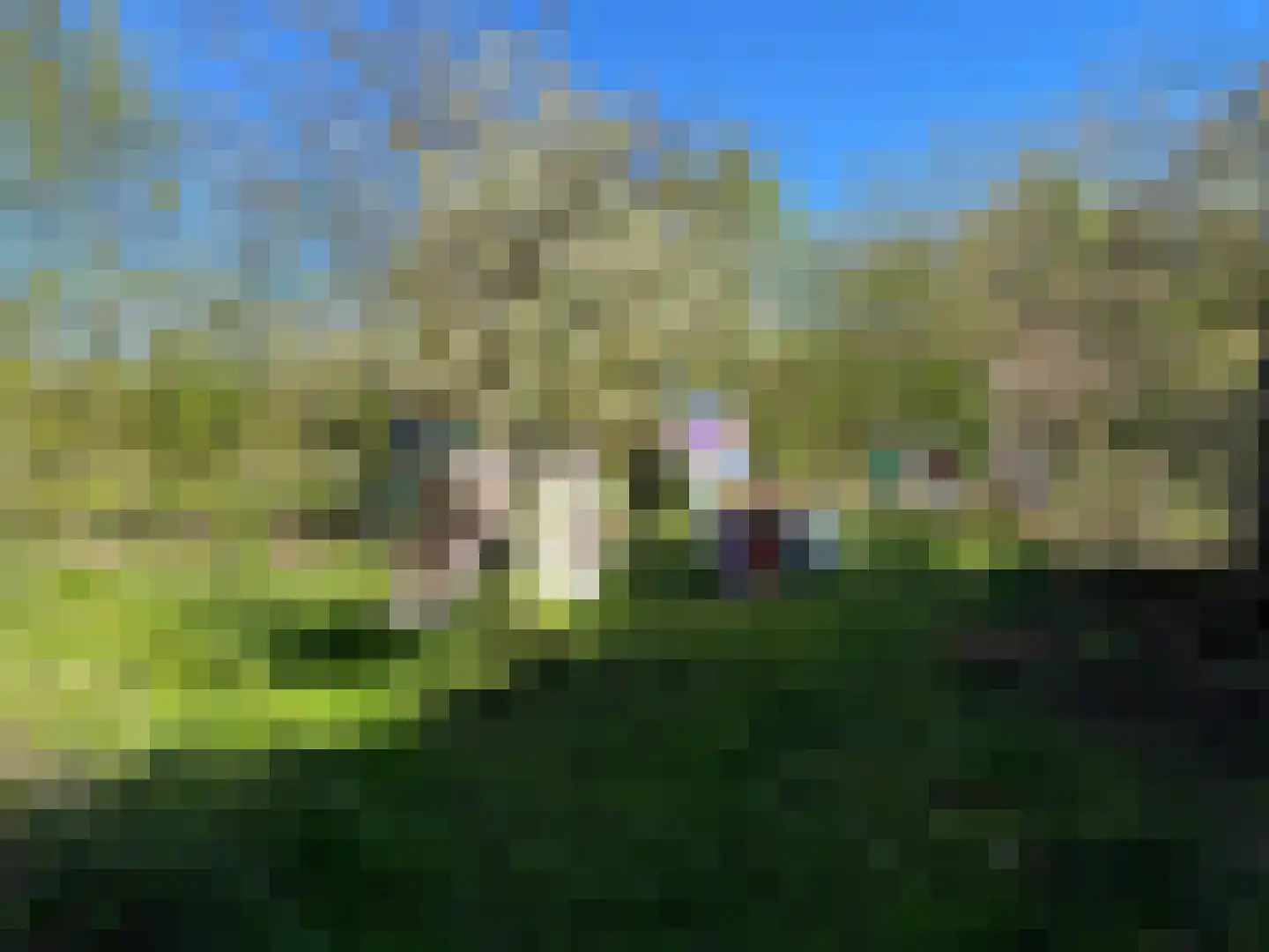 Nieuwenhofweg 12 Melderslo thumbnail 30