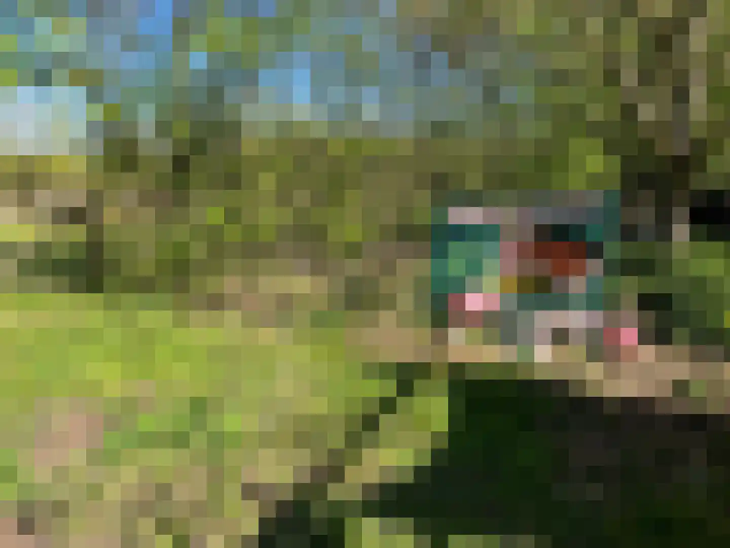 Nieuwenhofweg 12 Melderslo thumbnail 32