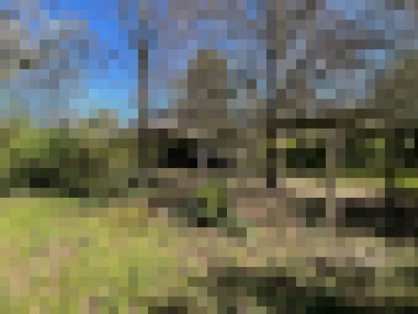 Nieuwenhofweg 12 Melderslo thumbnail 33