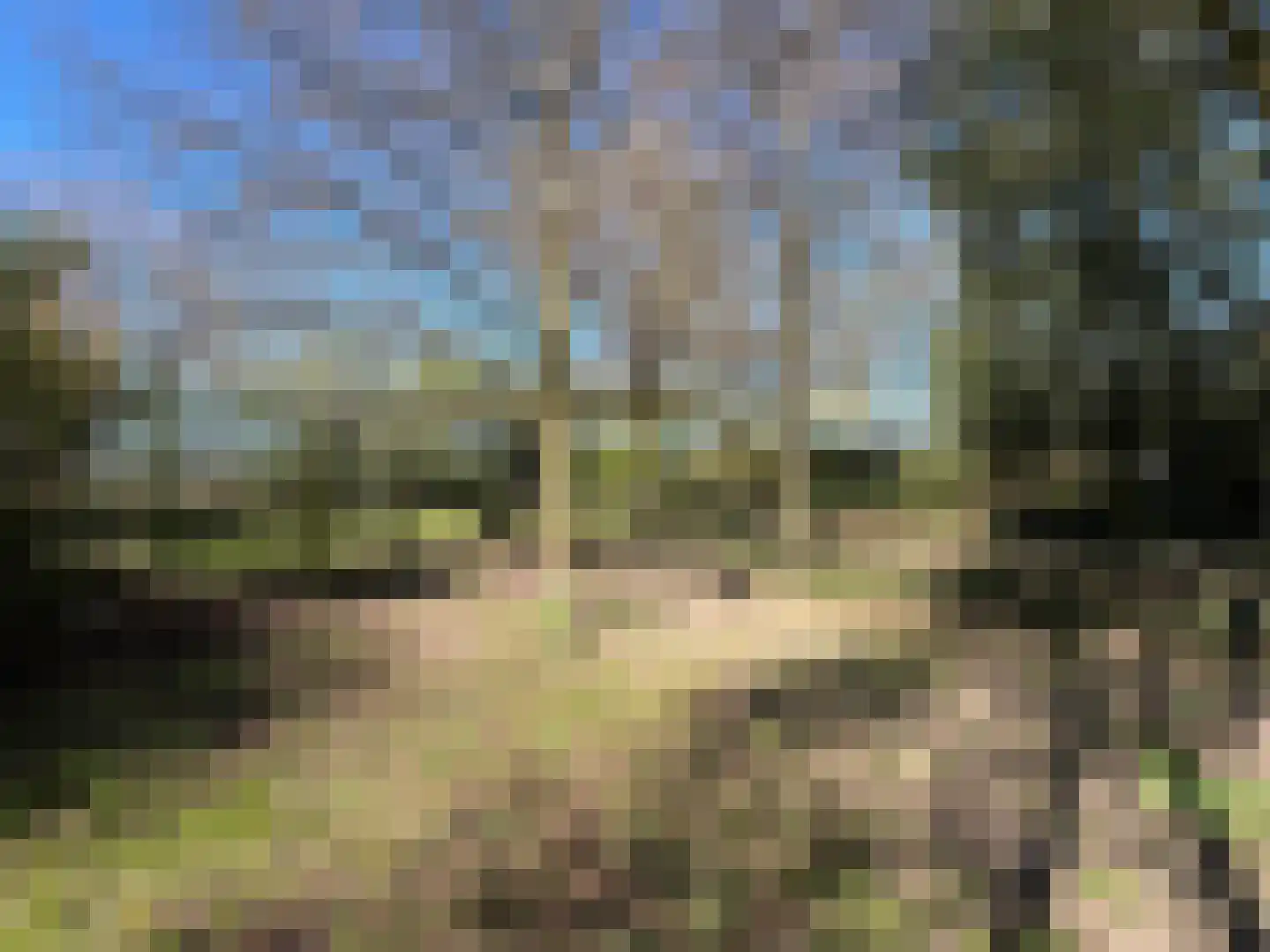 Nieuwenhofweg 12 Melderslo thumbnail 34
