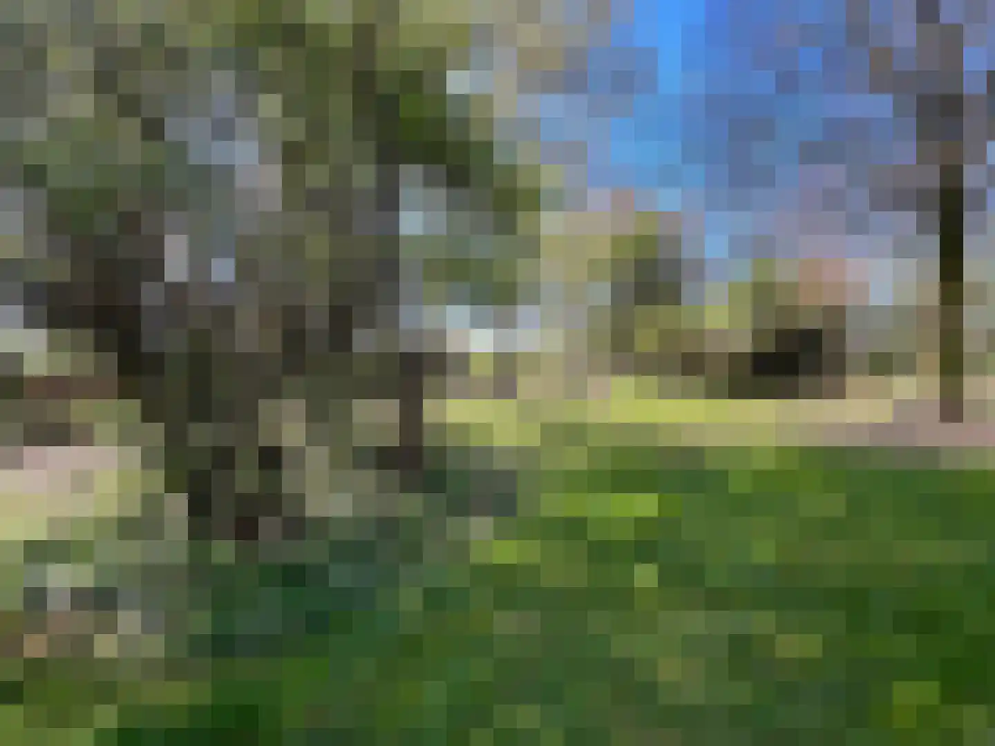 Nieuwenhofweg 12 Melderslo thumbnail 35