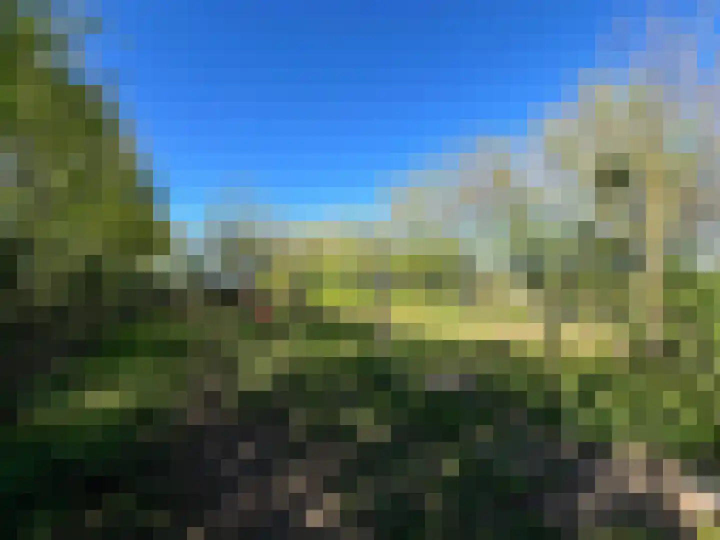 Nieuwenhofweg 12 Melderslo thumbnail 36