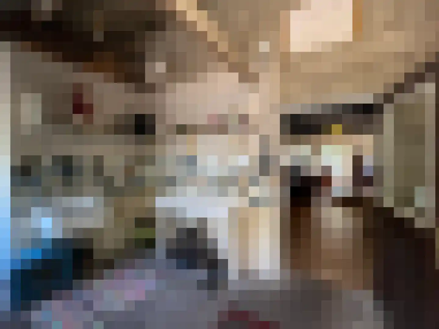 Nieuwenhofweg 12 Melderslo thumbnail 39