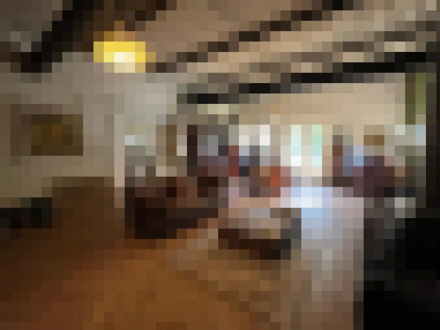 Nieuwenhofweg 12 Melderslo thumbnail 41