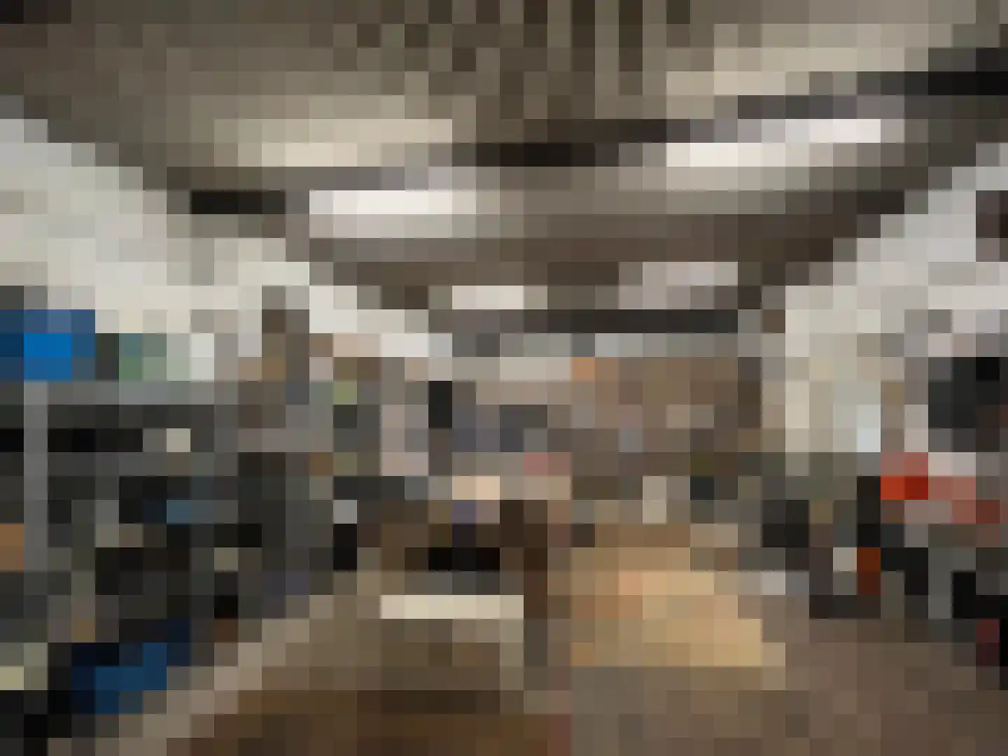 Nieuwenhofweg 12 Melderslo thumbnail 42