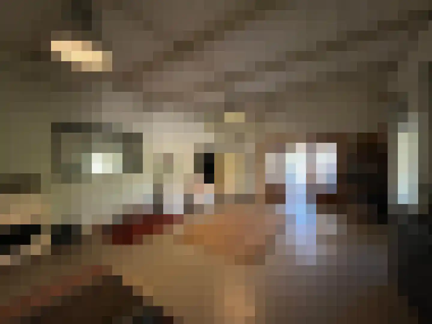 Nieuwenhofweg 12 Melderslo thumbnail 43