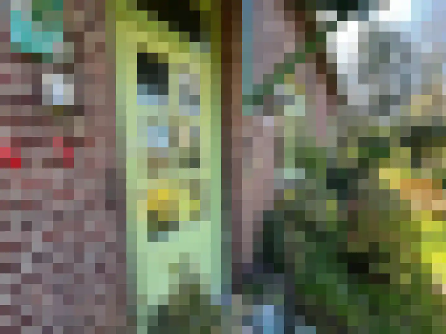 Nieuwenhofweg 12 Melderslo thumbnail 5