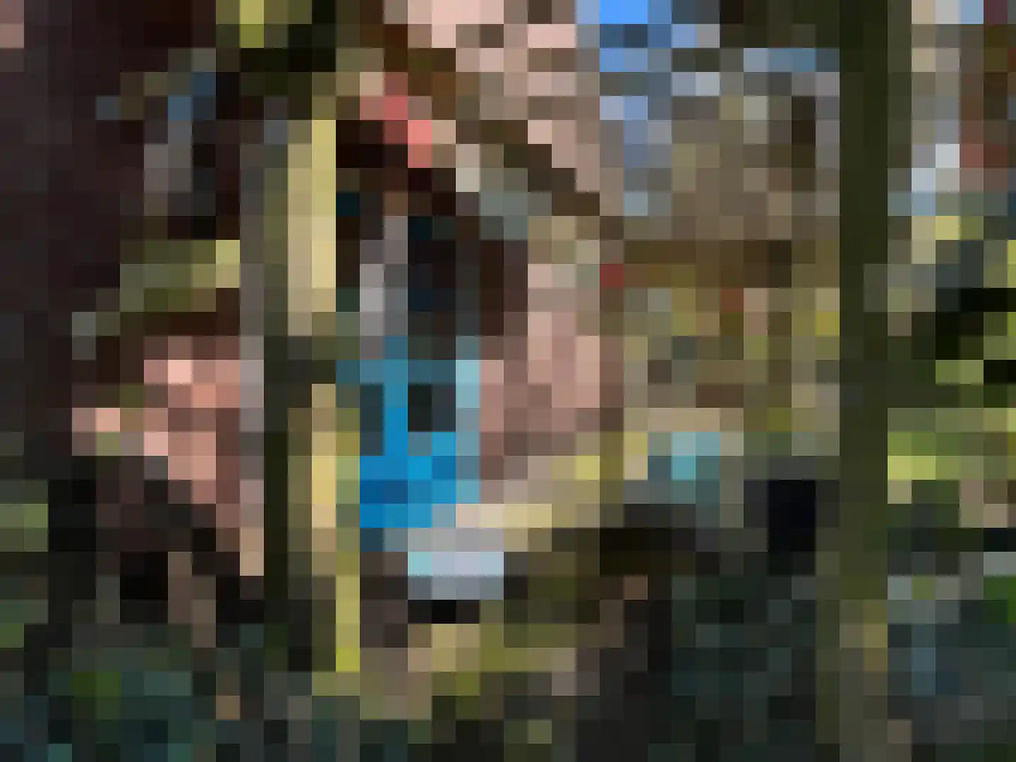 Nieuwenhofweg 12 Melderslo thumbnail 6