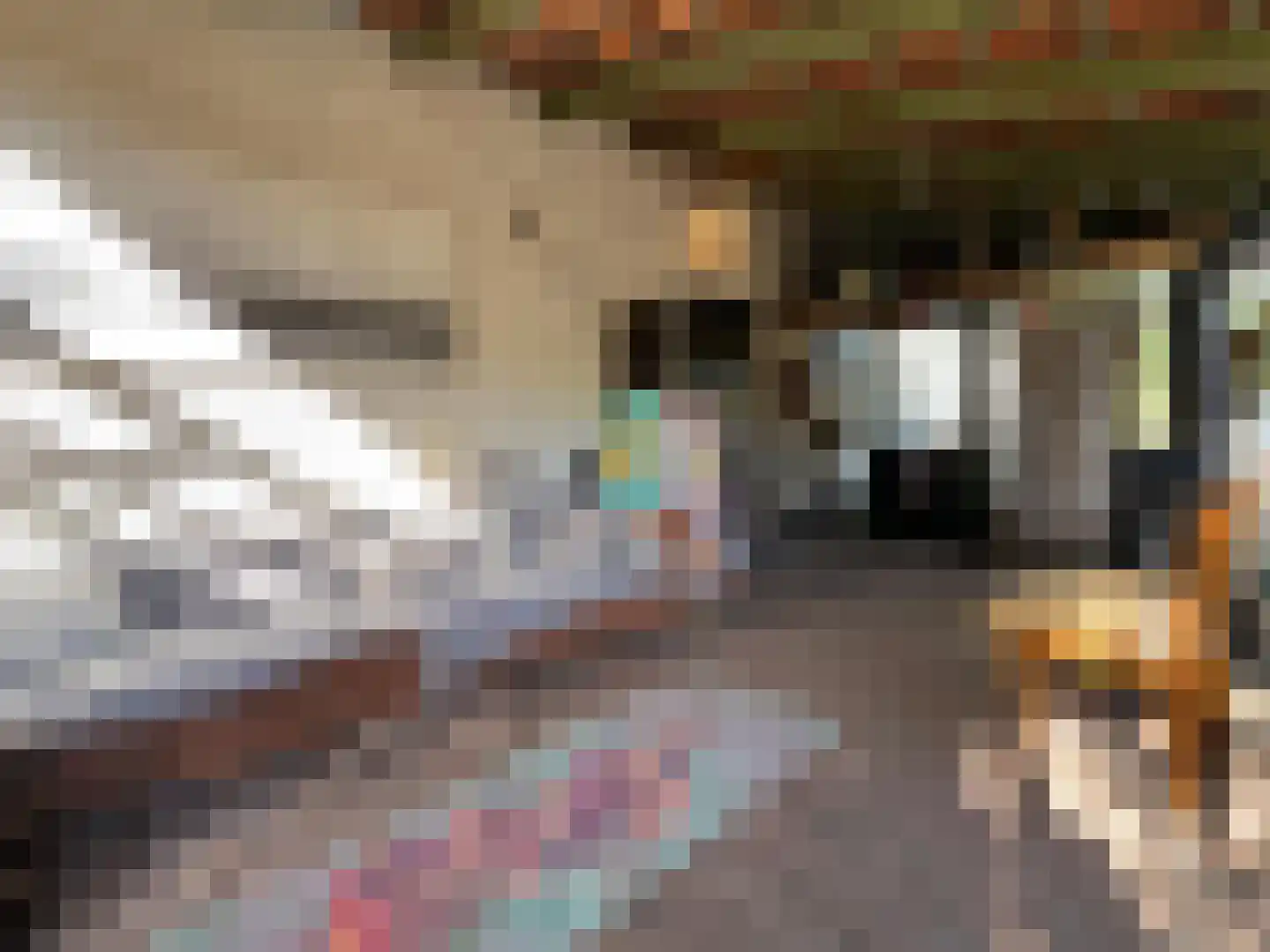Nieuwenhofweg 12 Melderslo thumbnail 7