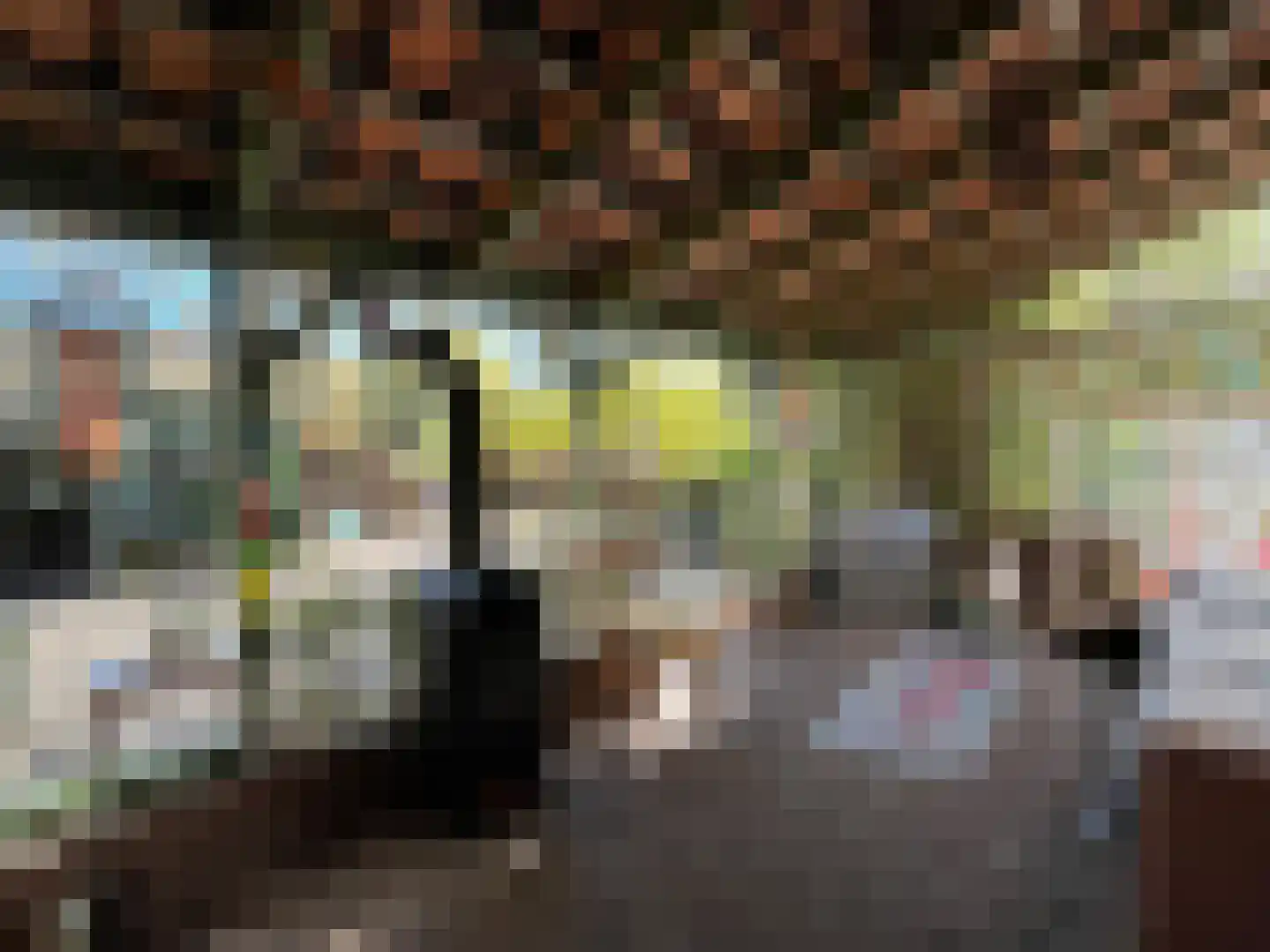 Nieuwenhofweg 12 Melderslo thumbnail 8