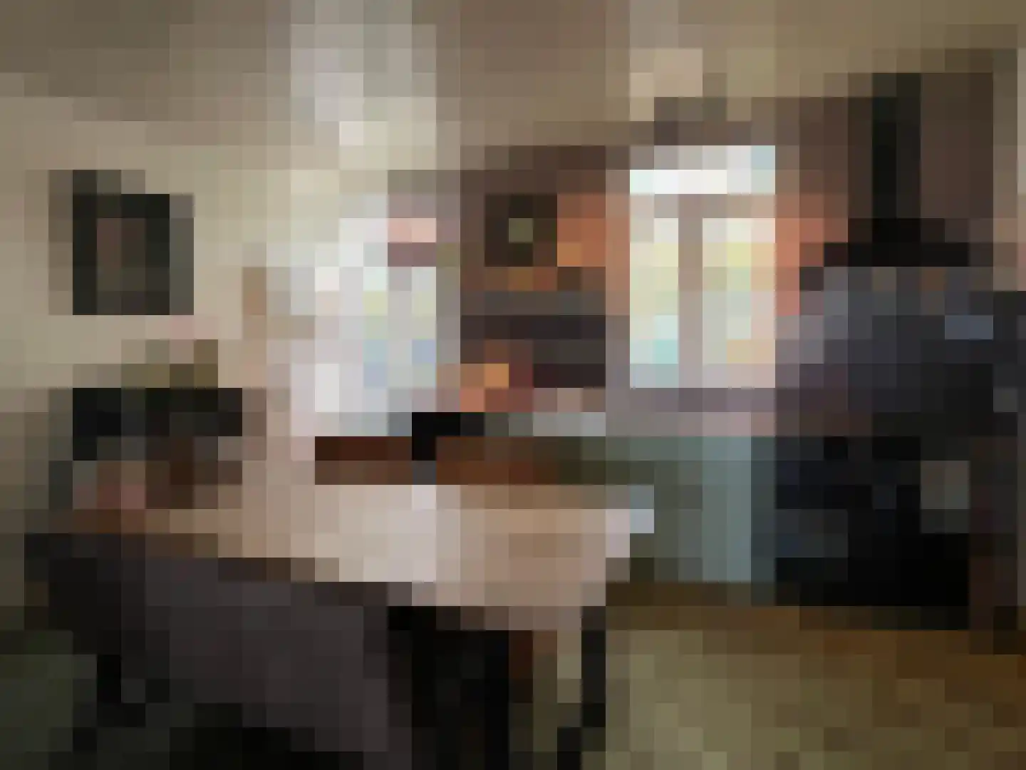 Nieuwenhofweg 12 Melderslo thumbnail 9