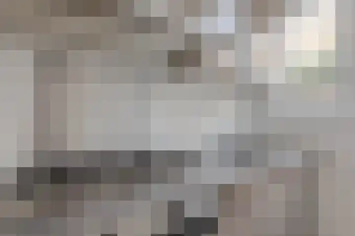 Nieuwenhoornstraat 103 B Rotterdam thumbnail 15