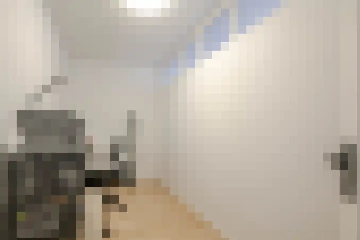 Nieuwenhoornstraat 111 A Rotterdam thumbnail 10