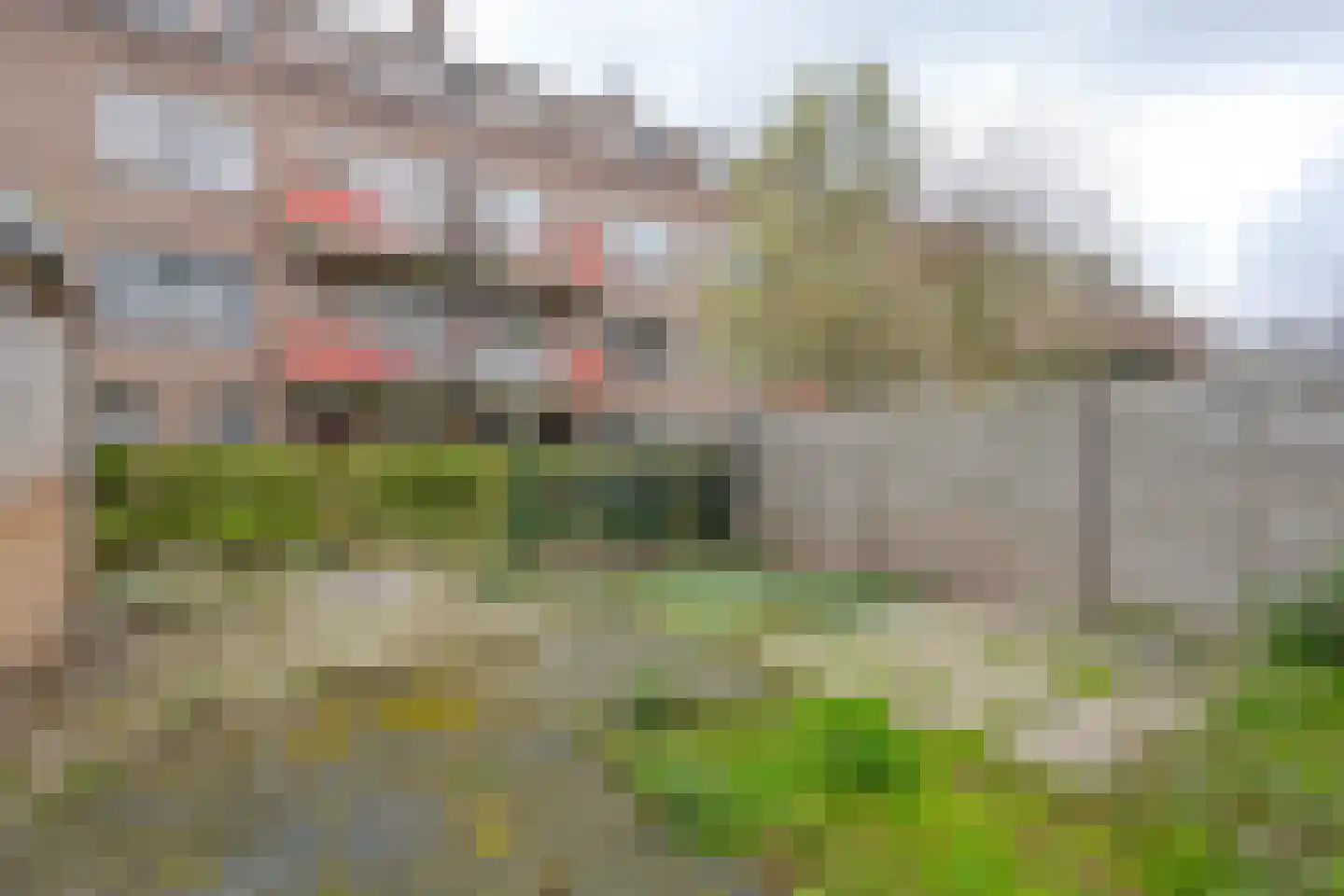 Nieuwenhoornstraat 111 A Rotterdam thumbnail 17