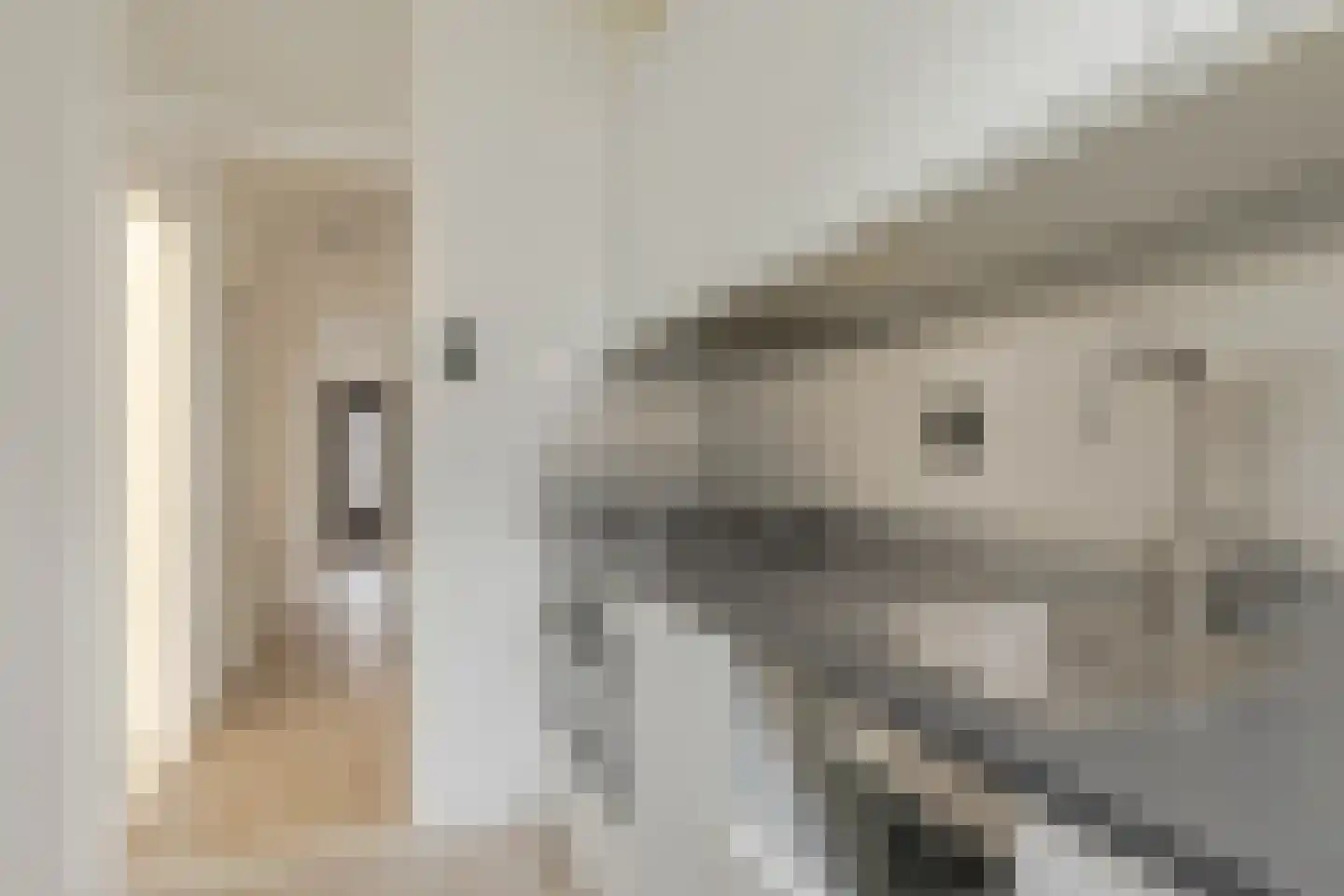 Nieuwenhoornstraat 111 B Rotterdam thumbnail 13