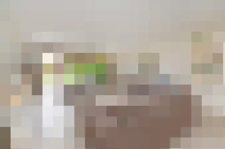 Nieuwenhoornstraat 14 Zoetermeer thumbnail 10