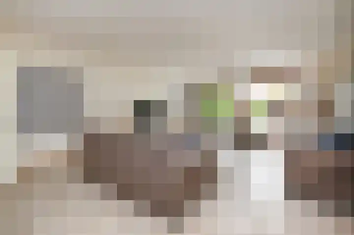 Nieuwenhoornstraat 14 Zoetermeer thumbnail 11